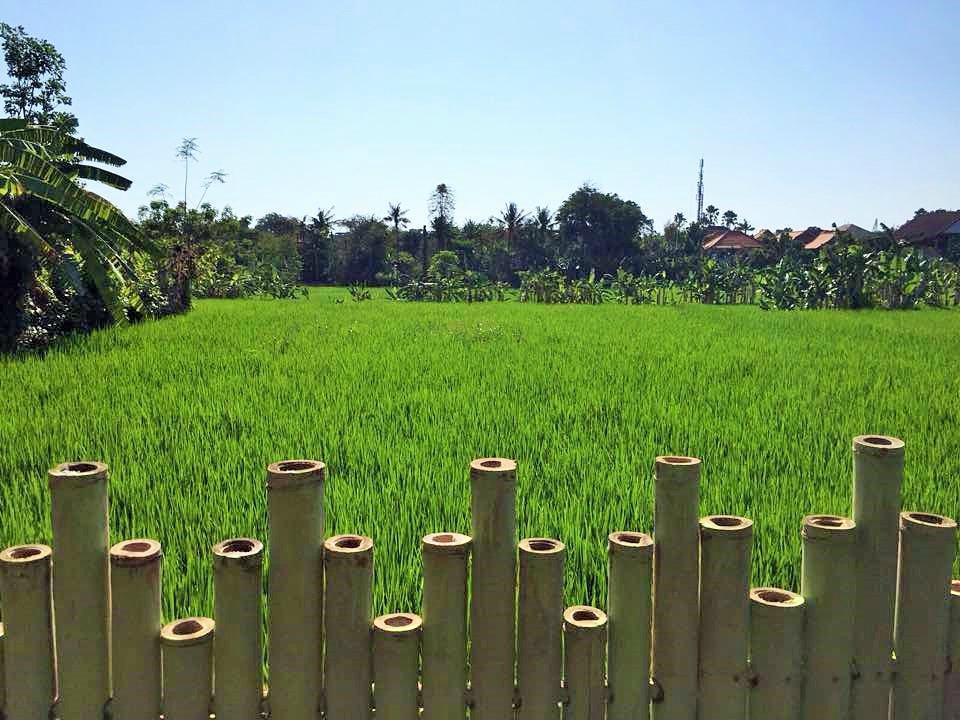 Bali Green Hostelスミニャック エクステリア 写真