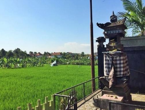 Bali Green Hostelスミニャック エクステリア 写真
